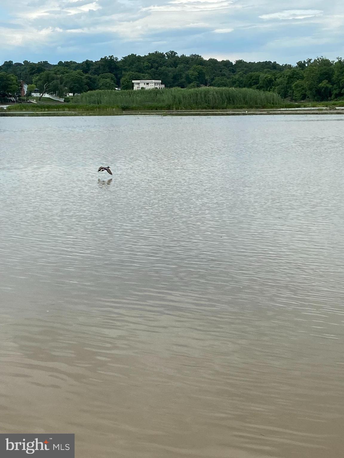 11306 Beach Road White Marsh, MD 21162 - Photo 27 of 35 Views from Boat Ramp 2