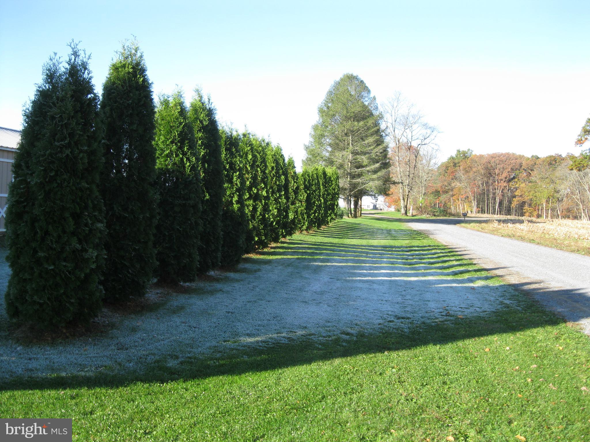 116 Ridge Road New Ringgold, PA 17960 - Photo 28 of 33 Gallery Image 28