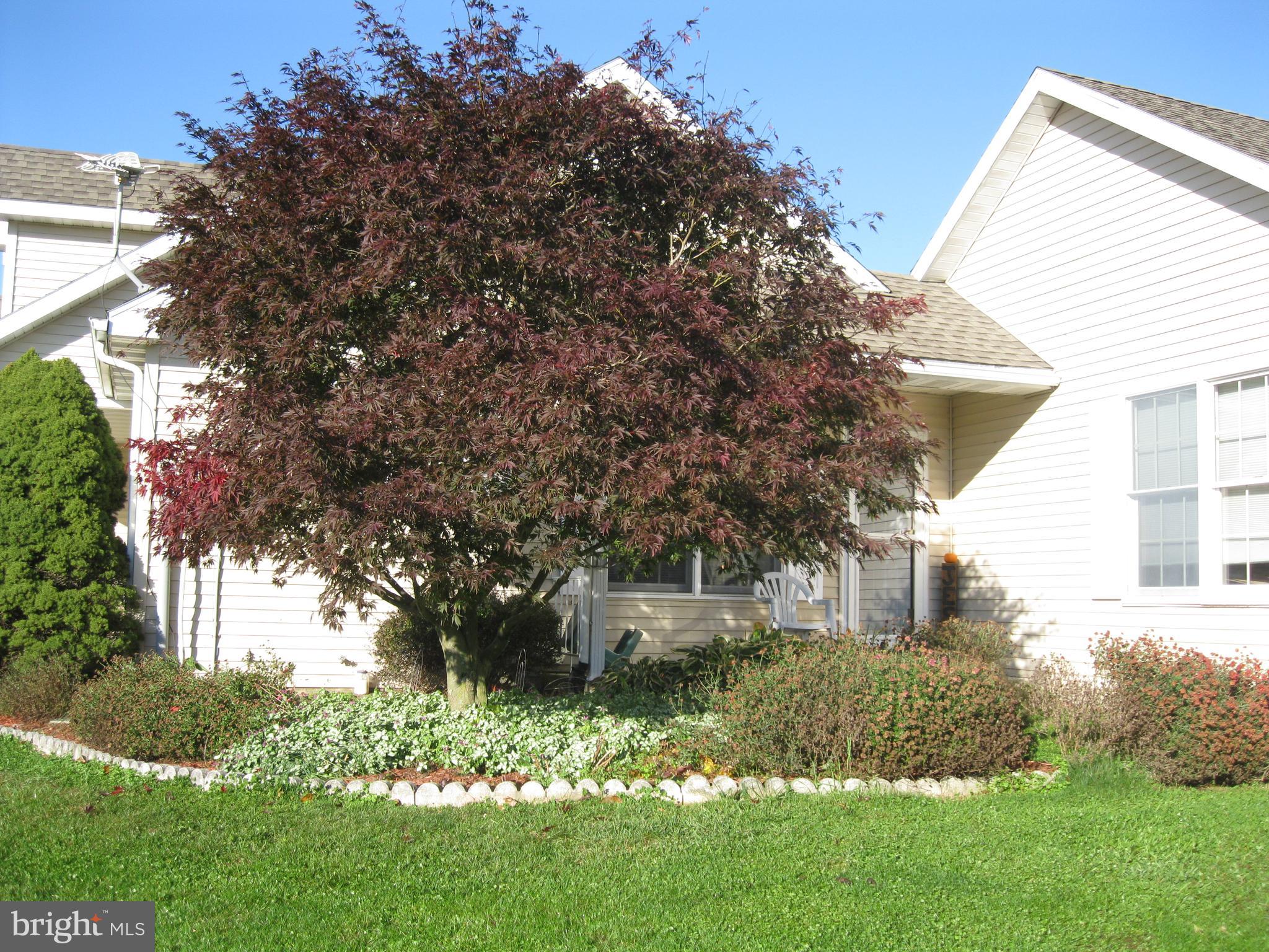 116 Ridge Road New Ringgold, PA 17960 - Photo 31 of 33 Gallery Image 31