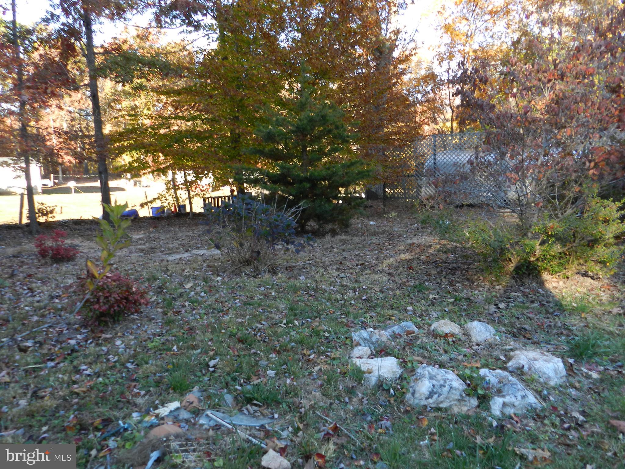 16399 Willis Road Orange, VA 22960 - Photo 40 of 59 Side yard