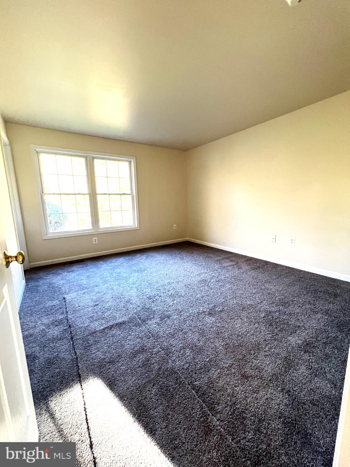 16399 Willis Road Orange, VA 22960 - Photo 51 of 59 Primary Bedroom