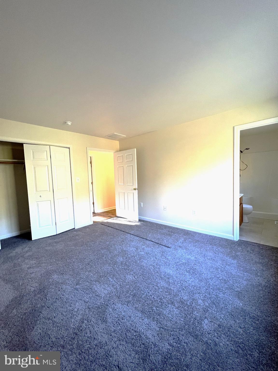 16399 Willis Road Orange, VA 22960 - Photo 54 of 59 Primary Bedroom