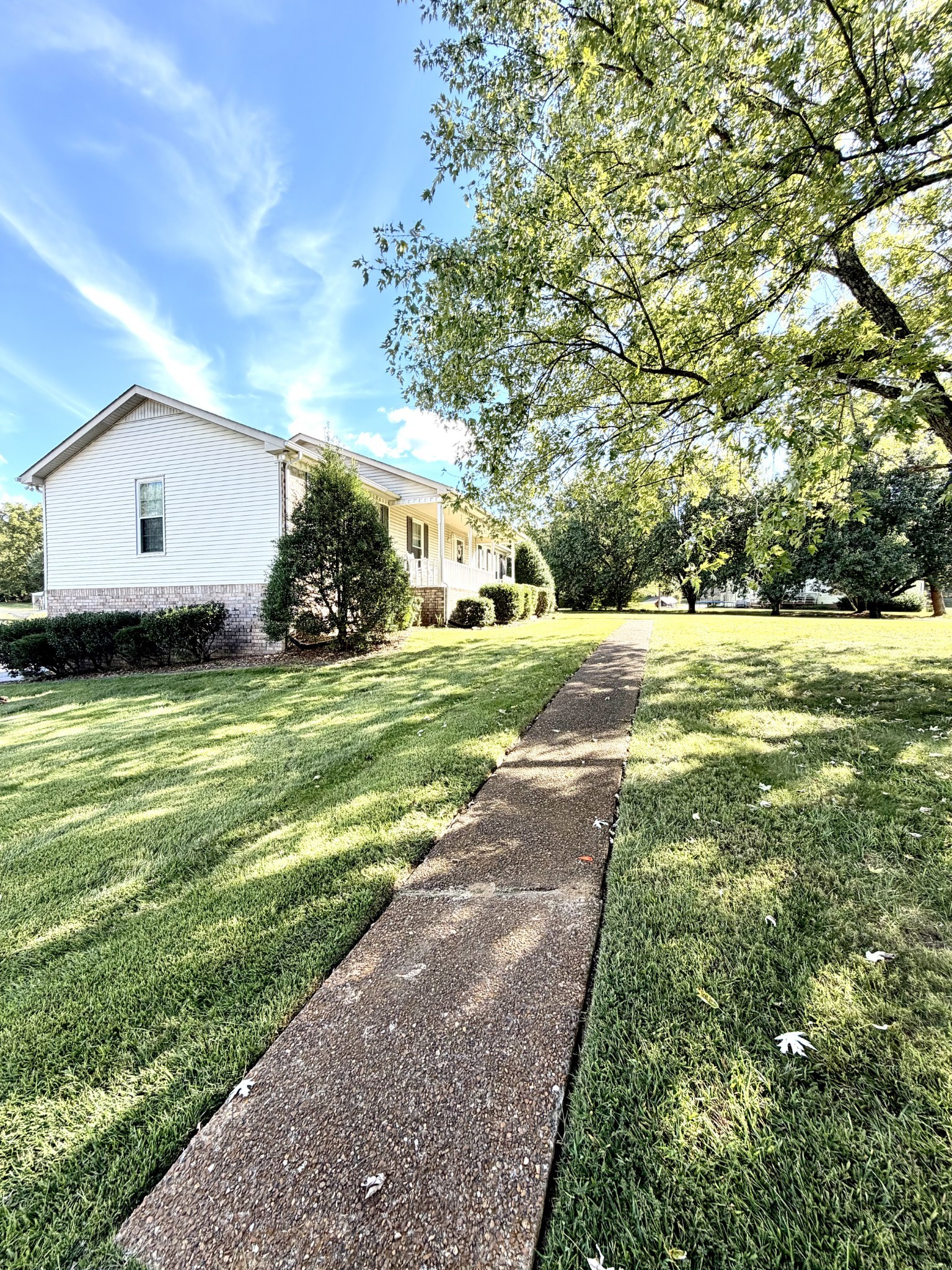 356 Lee Road Cottontown, TN 37048 - Photo 4 of 52 a view of a big yard with plants and large tree
