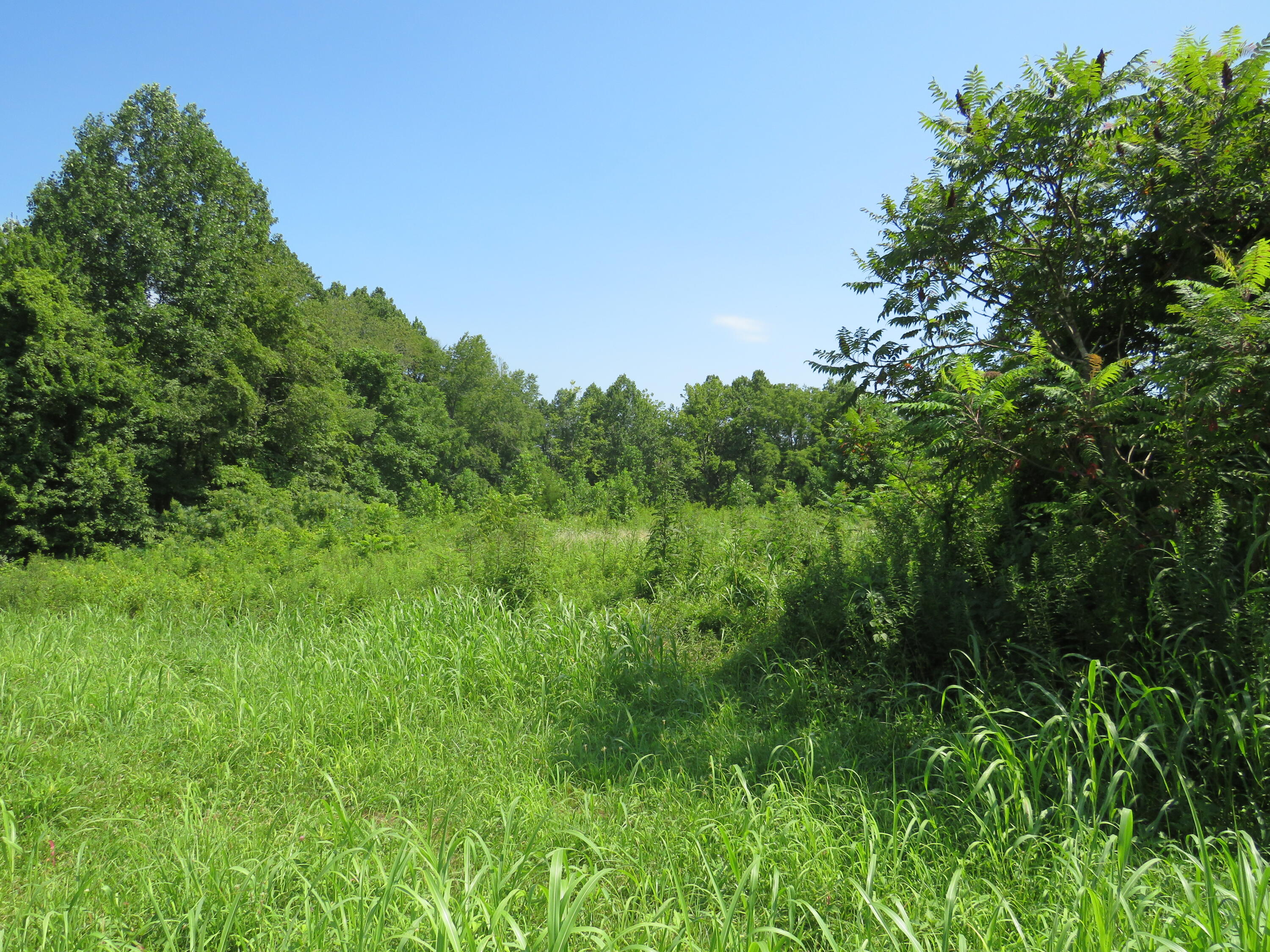 504 Nantz Road London, KY 40741 - Photo 24 of 60 IMG_5030