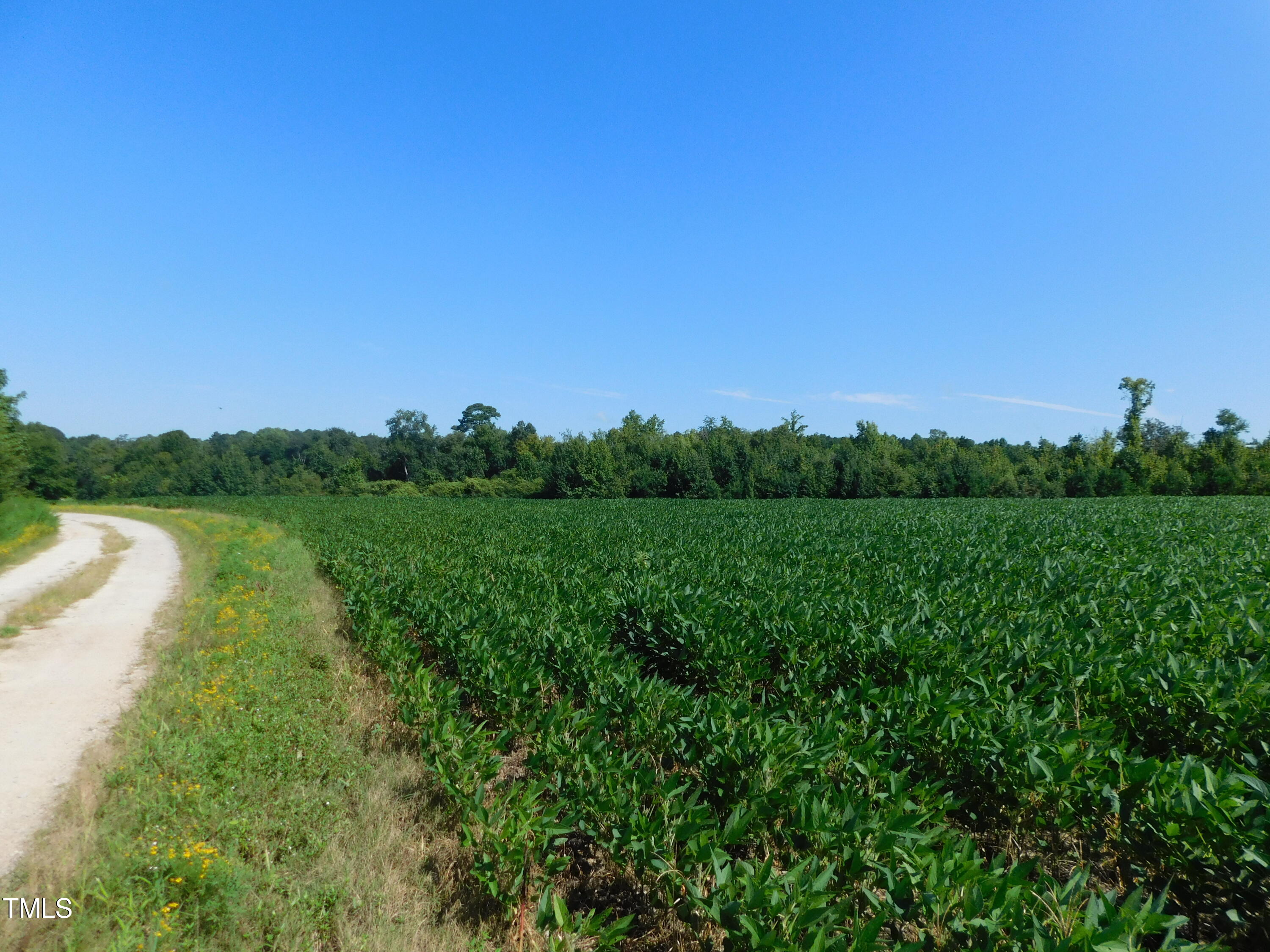 8186 Edwards Road Castalia, NC 27816 - Photo 5 of 19 DSCN0674