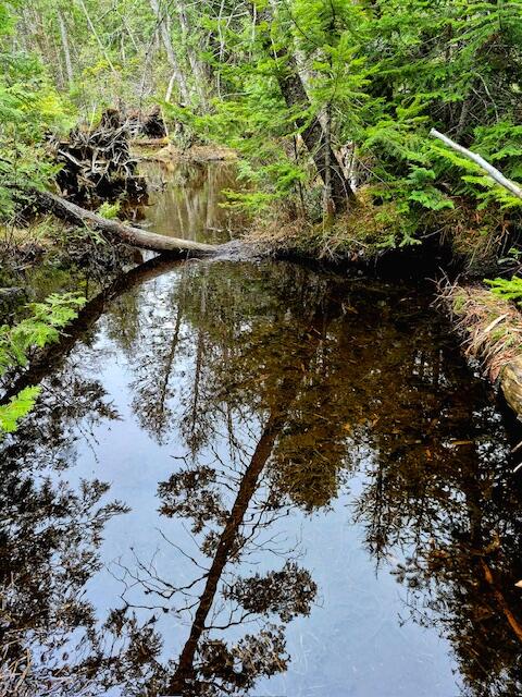 Lot 6 Morrison Brook, Unit ACRES Oakfield, ME 04763 - Photo 2 of 25 2546949674892407483