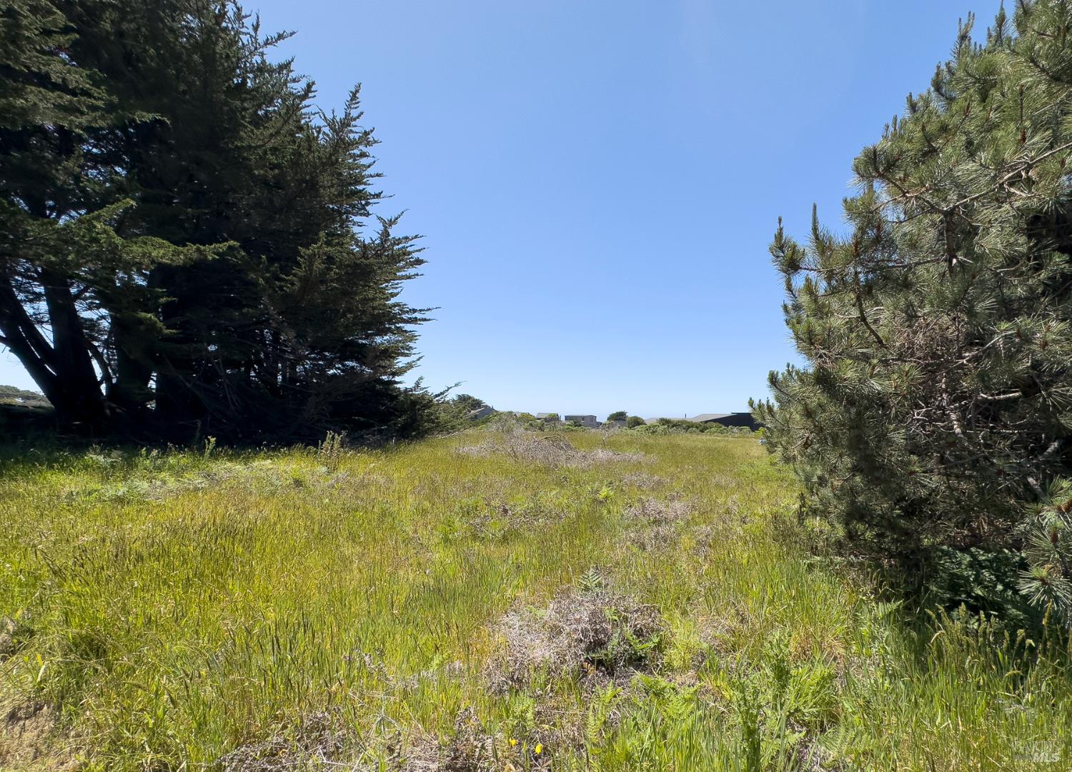 41889 Leeward Road The Sea Ranch, CA 95497 - Photo 4 of 13