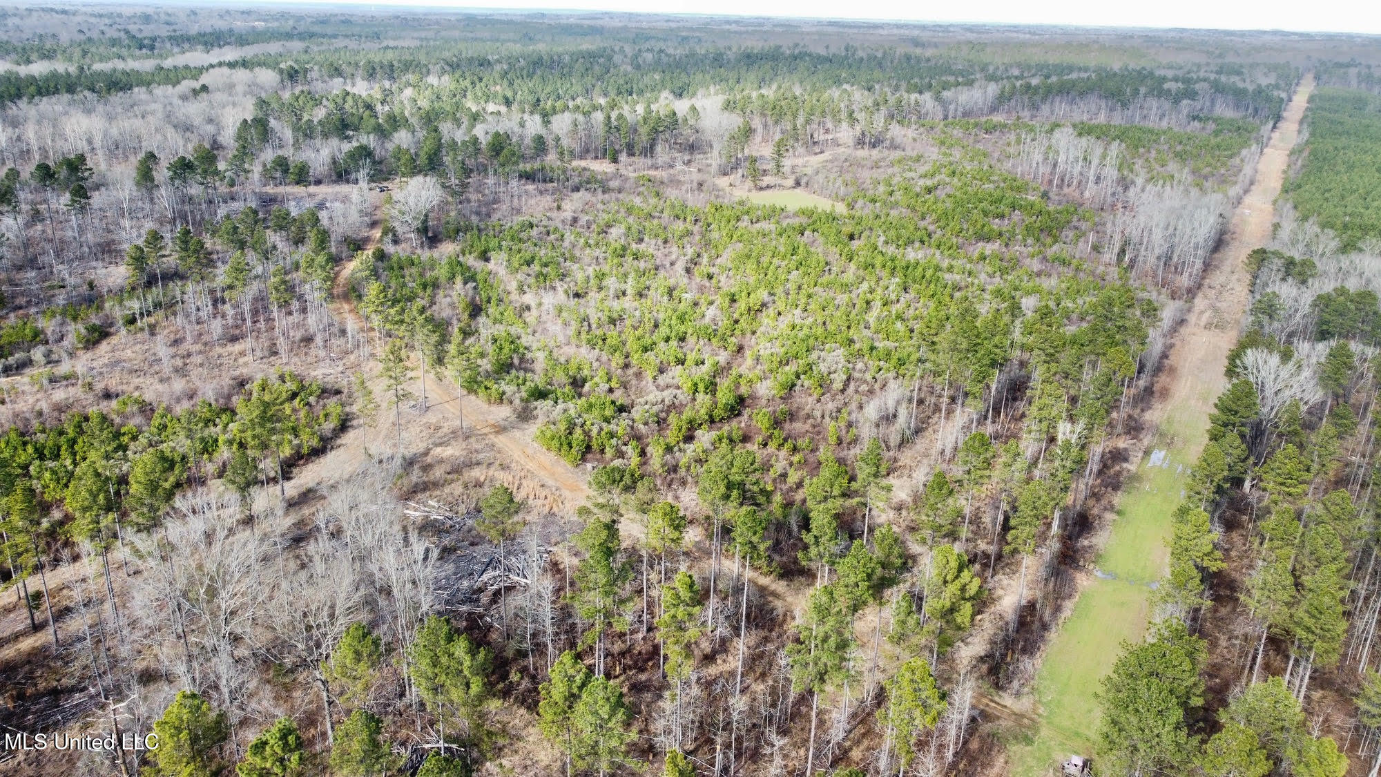 3 Dry Grove Road Terry, MS 39170 - Photo 36 of 80 621