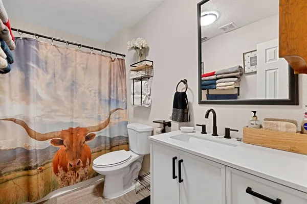 a bathroom with a sink a toilet and a mirror