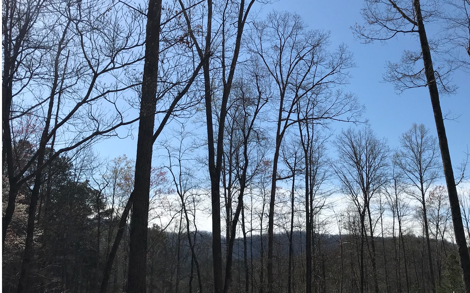 8.9-ac Stover Creek Cove Blue Ridge, GA 30513 - Photo 1 of 1 Main View