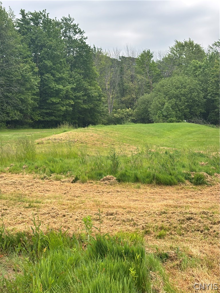 209 County Rte 1A Scriba, NY 13126 - Photo 24 of 24