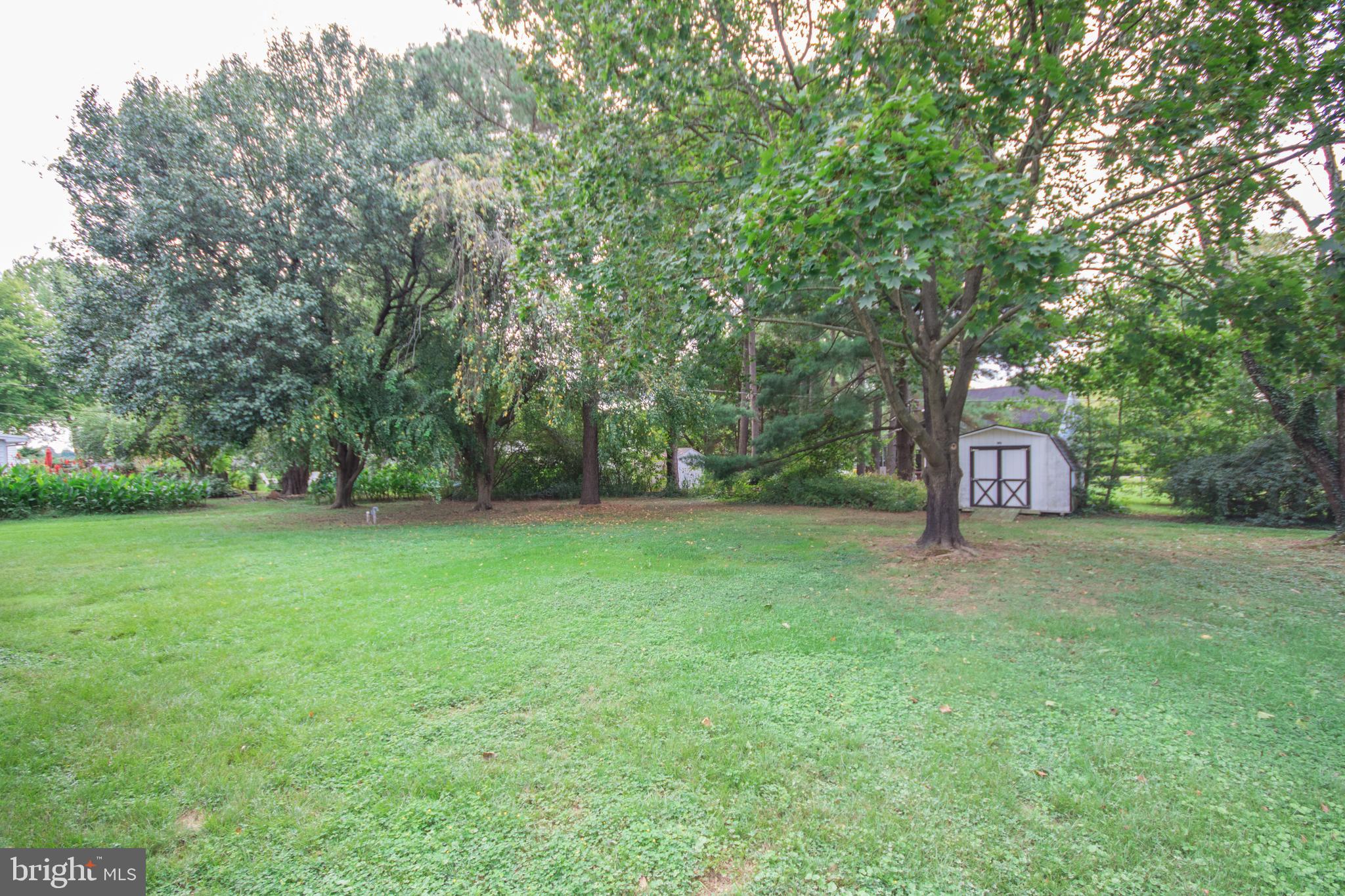 27981 Woods Road Easton, MD 21601 - Photo 32 of 35 Gallery Image 32