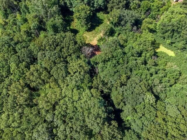 10928 Maudlin Road New Buffalo, MI 49117 - Photo 4 of 22 maudlin 4