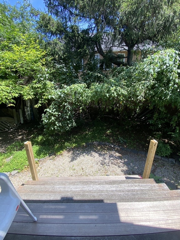 14 Upland Road, Unit 2 Brookline, MA 02445 - Photo 32 of 34