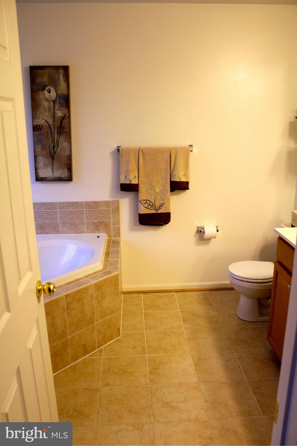 603 MacDill Road Baltimore, MD 21220 - Photo 15 of 28 Bath (Master)