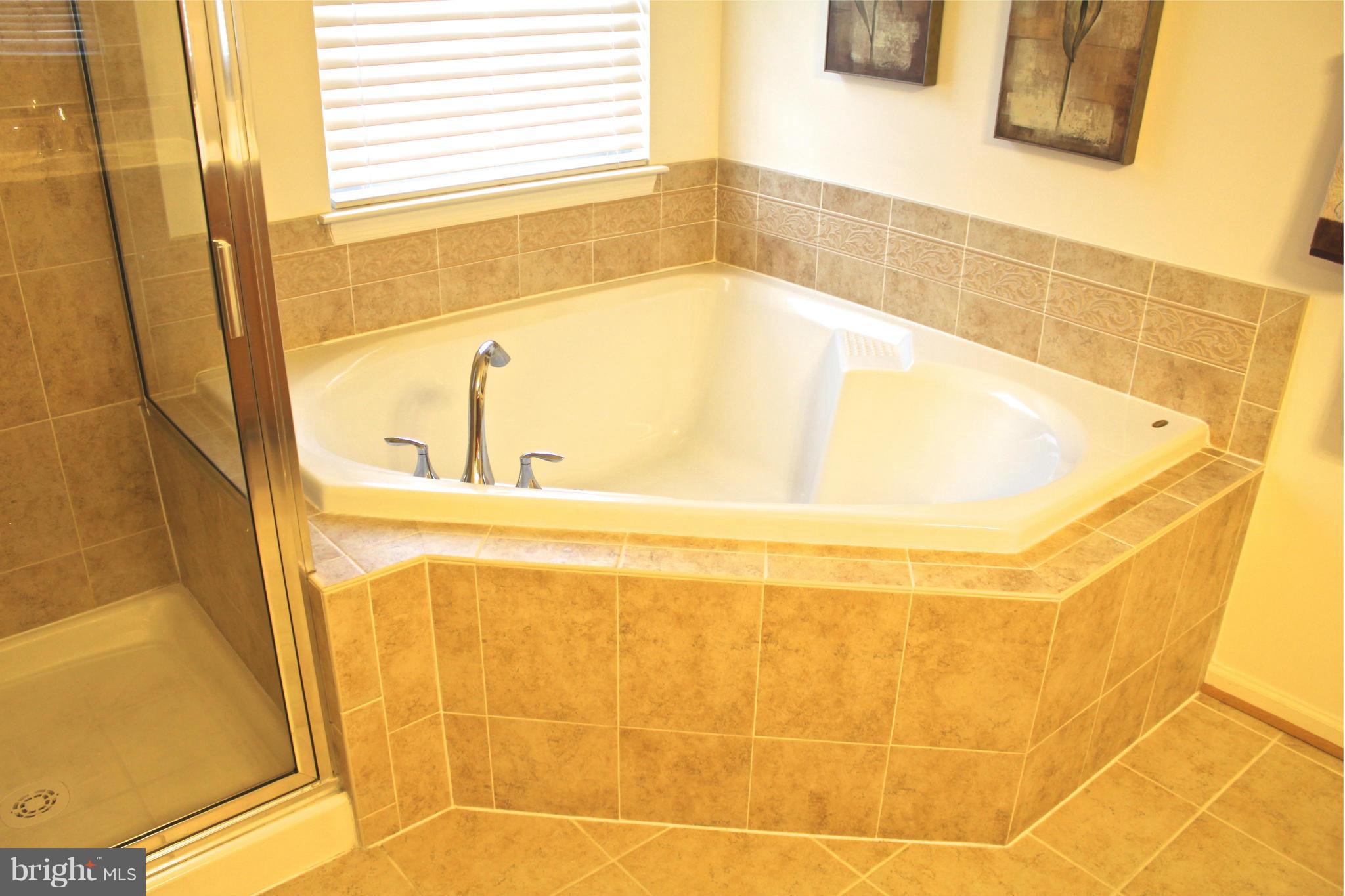 603 MacDill Road Baltimore, MD 21220 - Photo 17 of 28 Bath (Master)