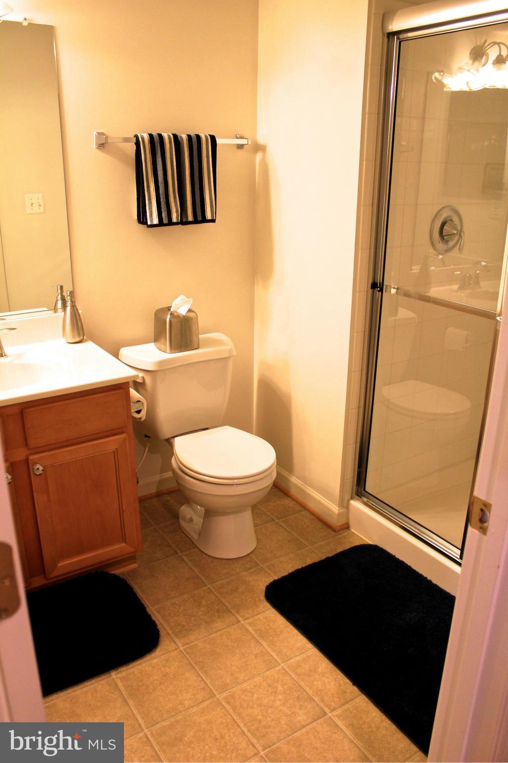 603 MacDill Road Baltimore, MD 21220 - Photo 26 of 28 Basement Bath