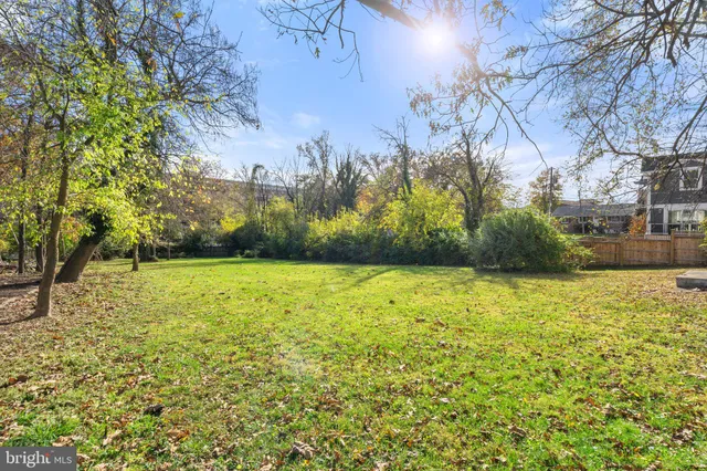 a view of yard with green space