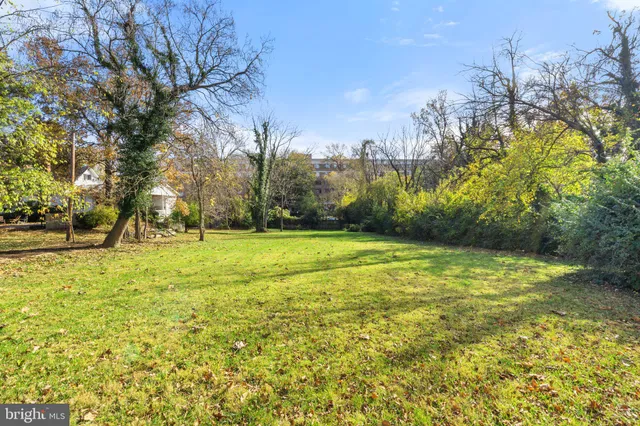 a view of a big yard with palm trees
