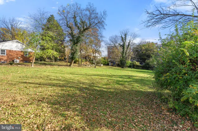 a view of a yard with a tree