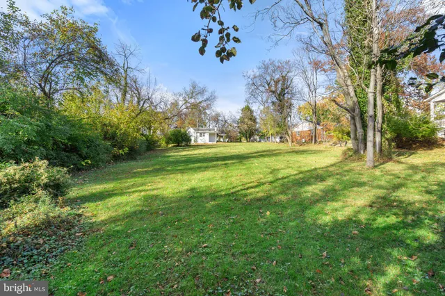 a view of yard with tree