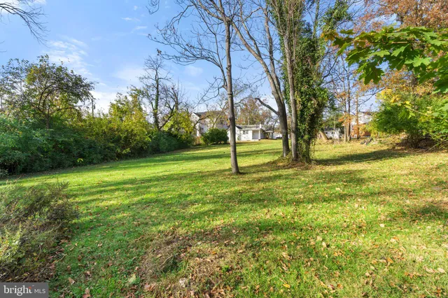 a view of grassy field with trees