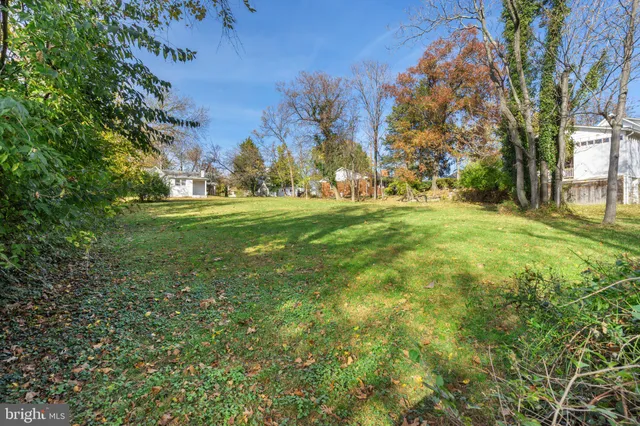 a view of a yard with a tree