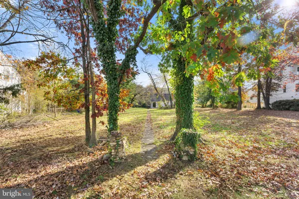 a view of yard with trees
