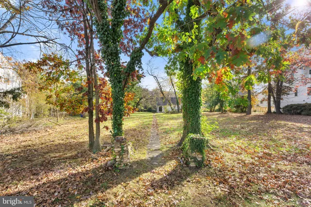 a view of yard with trees