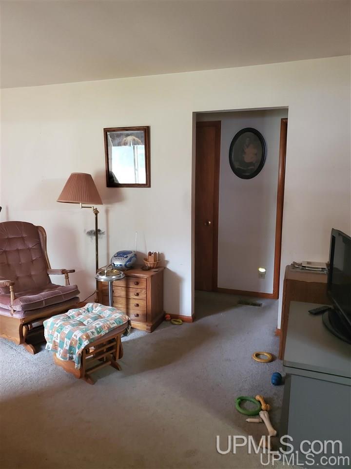 115 South Pansy Street Ishpeming, MI 49849 - Photo 9 of 43