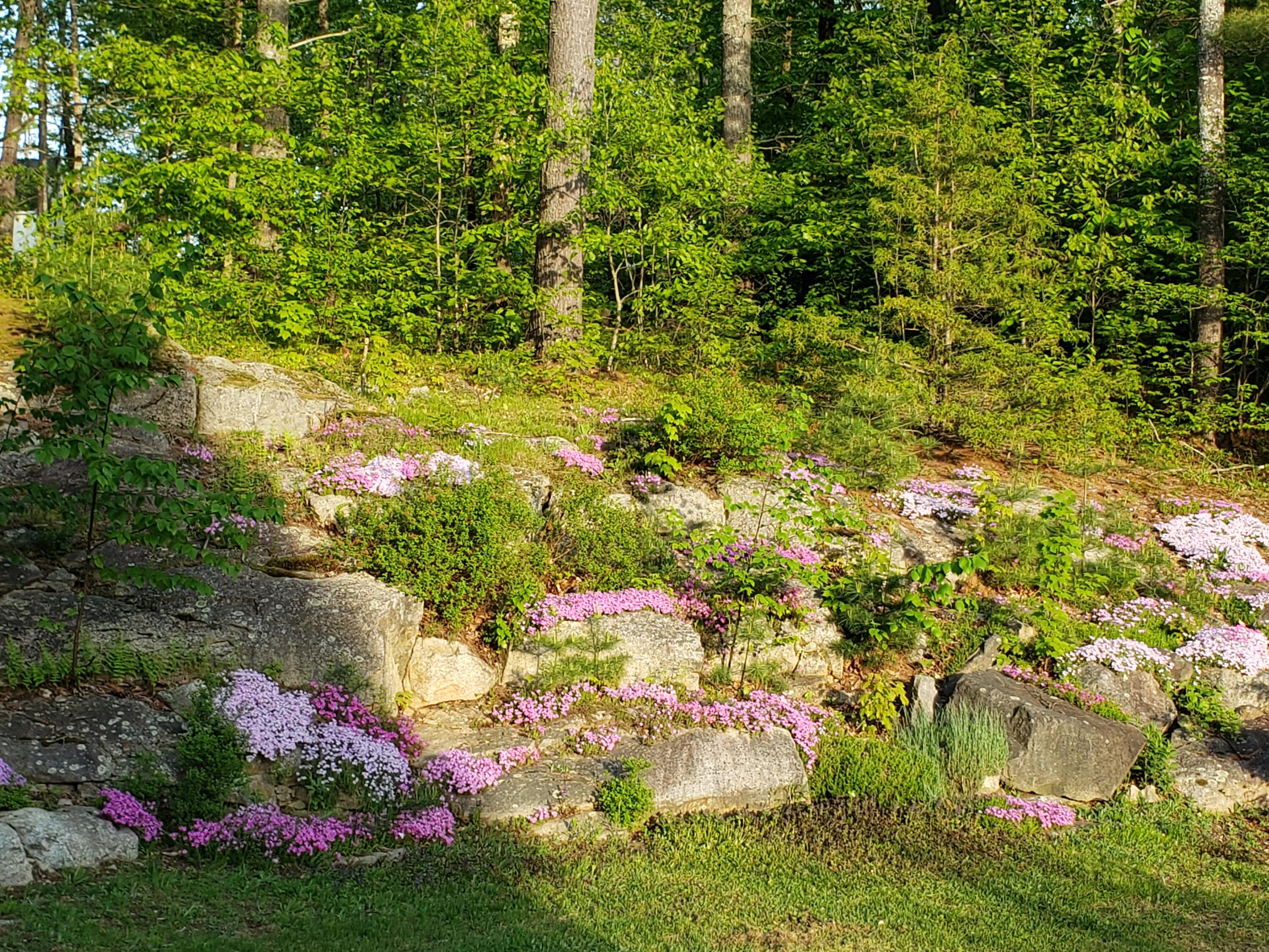 1158 Weeks Mills Road Augusta, ME 04330 - Photo 11 of 69 20240520_184834