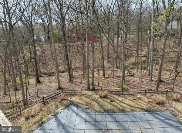 a view of yard