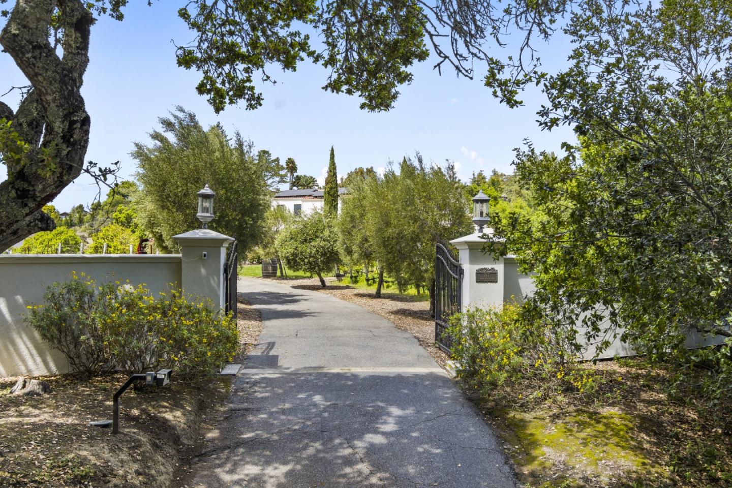 787 Rider Ridge Road Santa Cruz, CA 95065 - Photo 2 of 39 a view of a street with flower plants and large trees