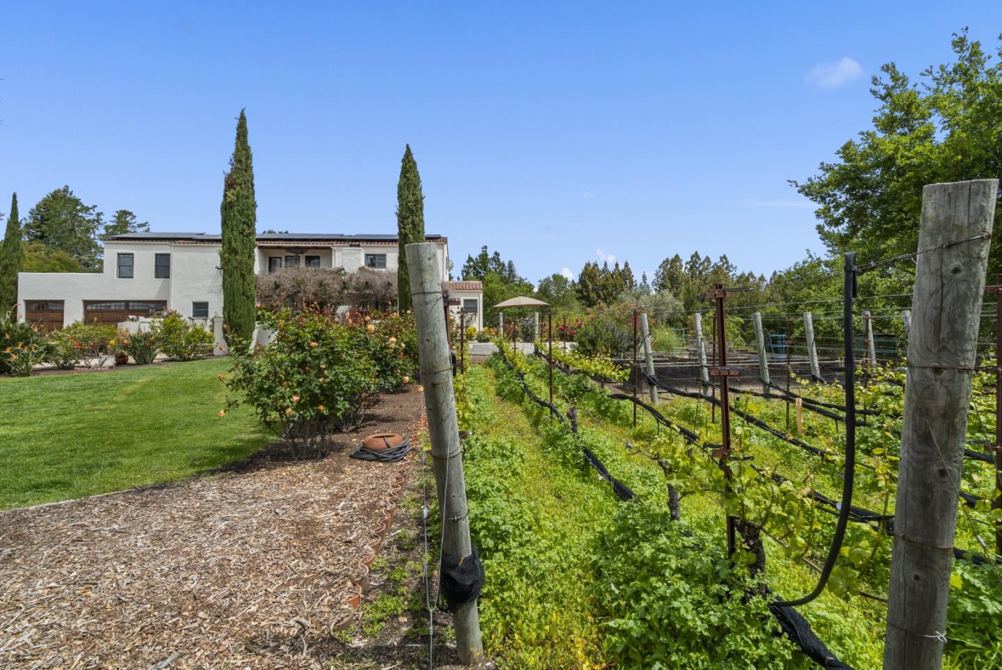 787 Rider Ridge Road Santa Cruz, CA 95065 - Photo 34 of 39 a view of a garden with a building in the background