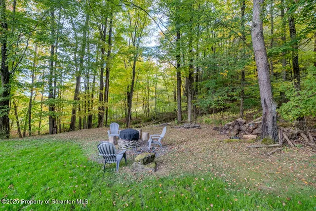 a chair and bench sitting in the middle of a forest