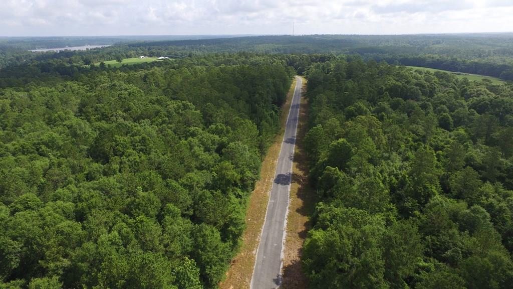 0 Meadow Lane Road Andalusia, AL 36421 - Photo 24 of 30 Gallery Image 24