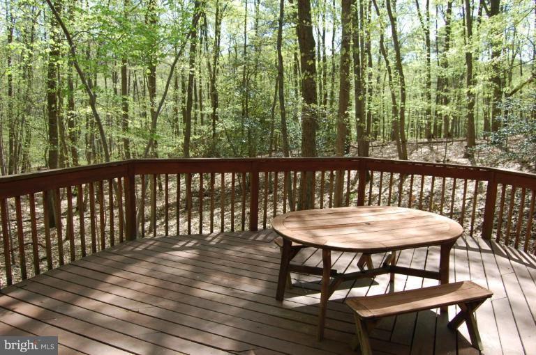 1369 Dicus Mill Road Severn, MD 21144 - Photo 2 of 30 Back yard