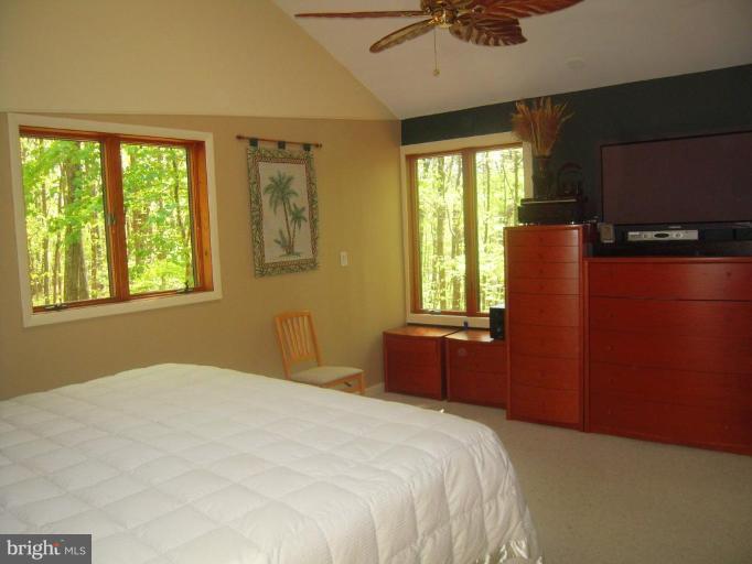 1369 Dicus Mill Road Severn, MD 21144 - Photo 21 of 30 Views of wooded acreage from master bedroom