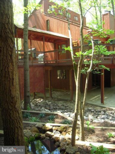 1369 Dicus Mill Road Severn, MD 21144 - Photo 26 of 30 Water Garden 1