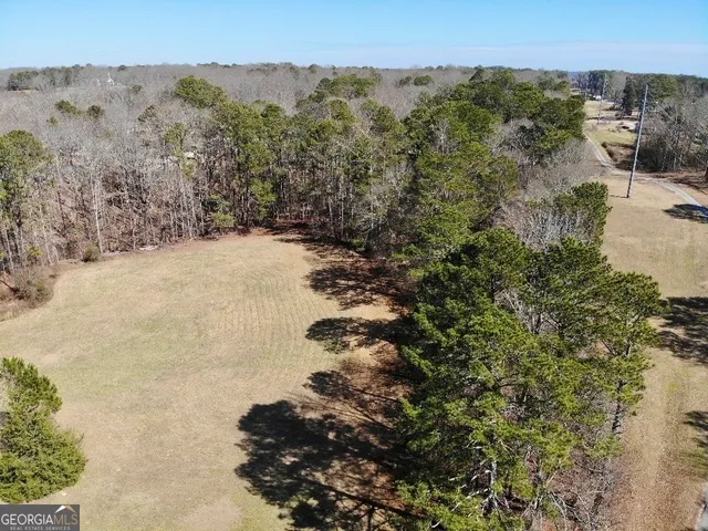 a view of a yard with a mountain and trees
