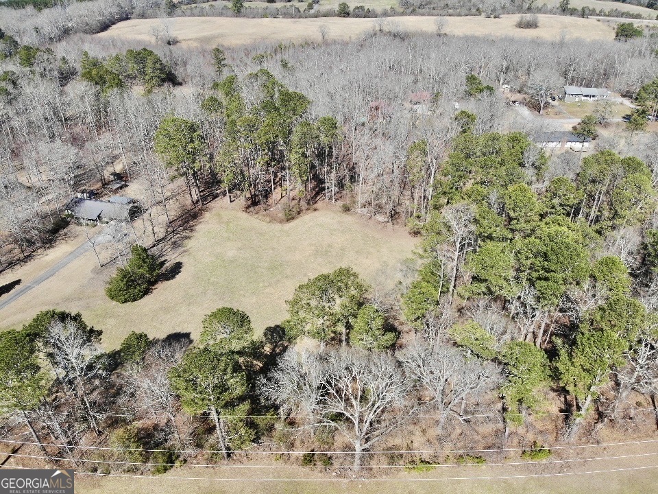 0 Hard Rock Road Oxford, GA 30054 - Photo 4 of 12 a view of a yard with a tree