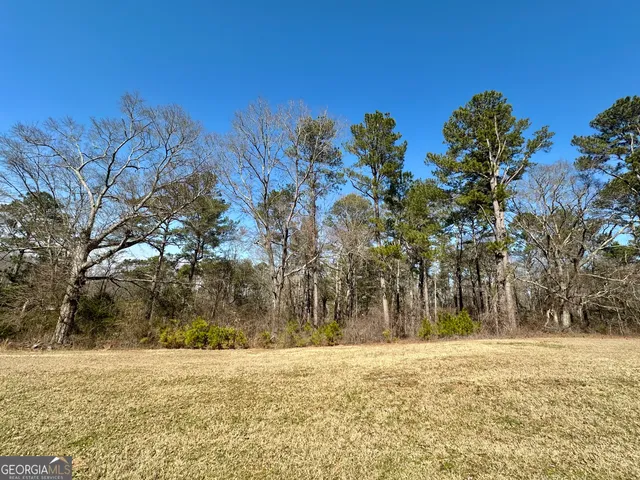 a street view with large trees