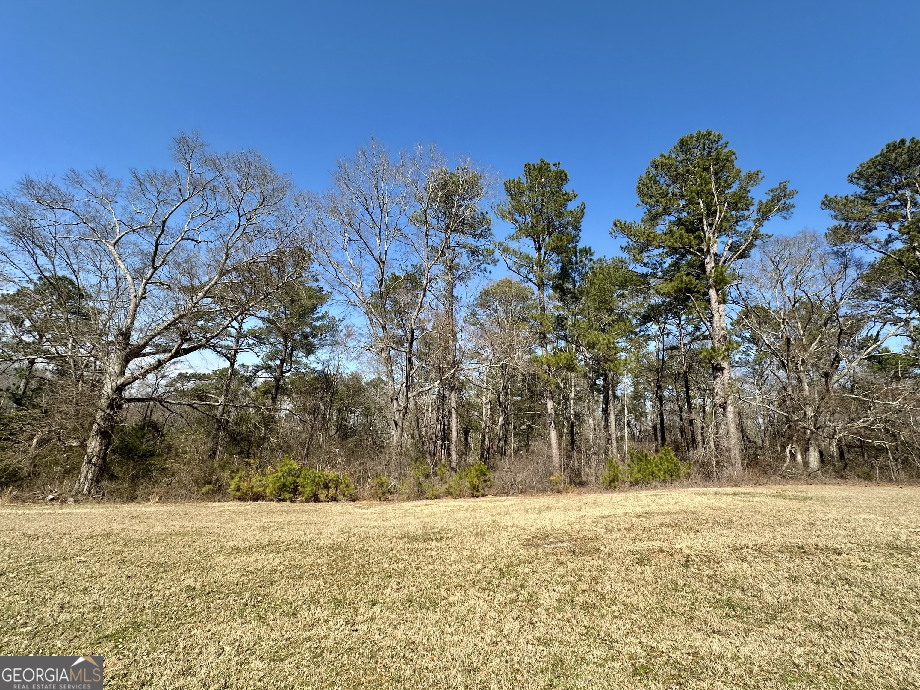 0 Hard Rock Road Oxford, GA 30054 - Photo 8 of 12 a street view with large trees