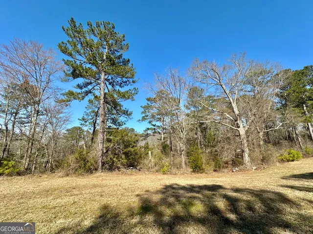 a view of a yard with a tree