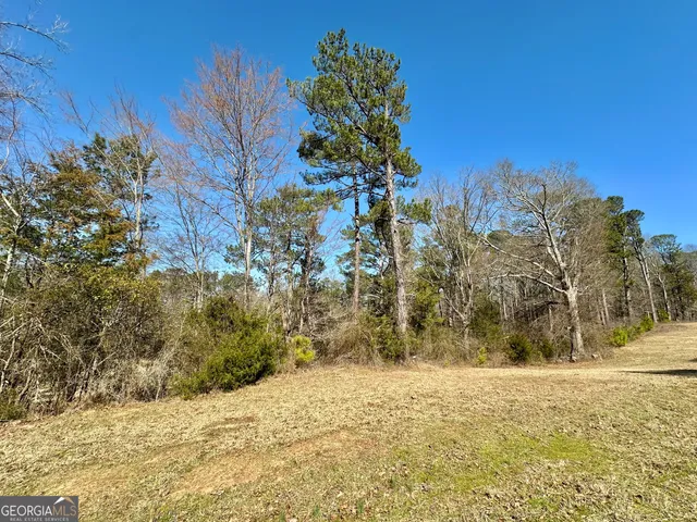 a view of a yard with a house