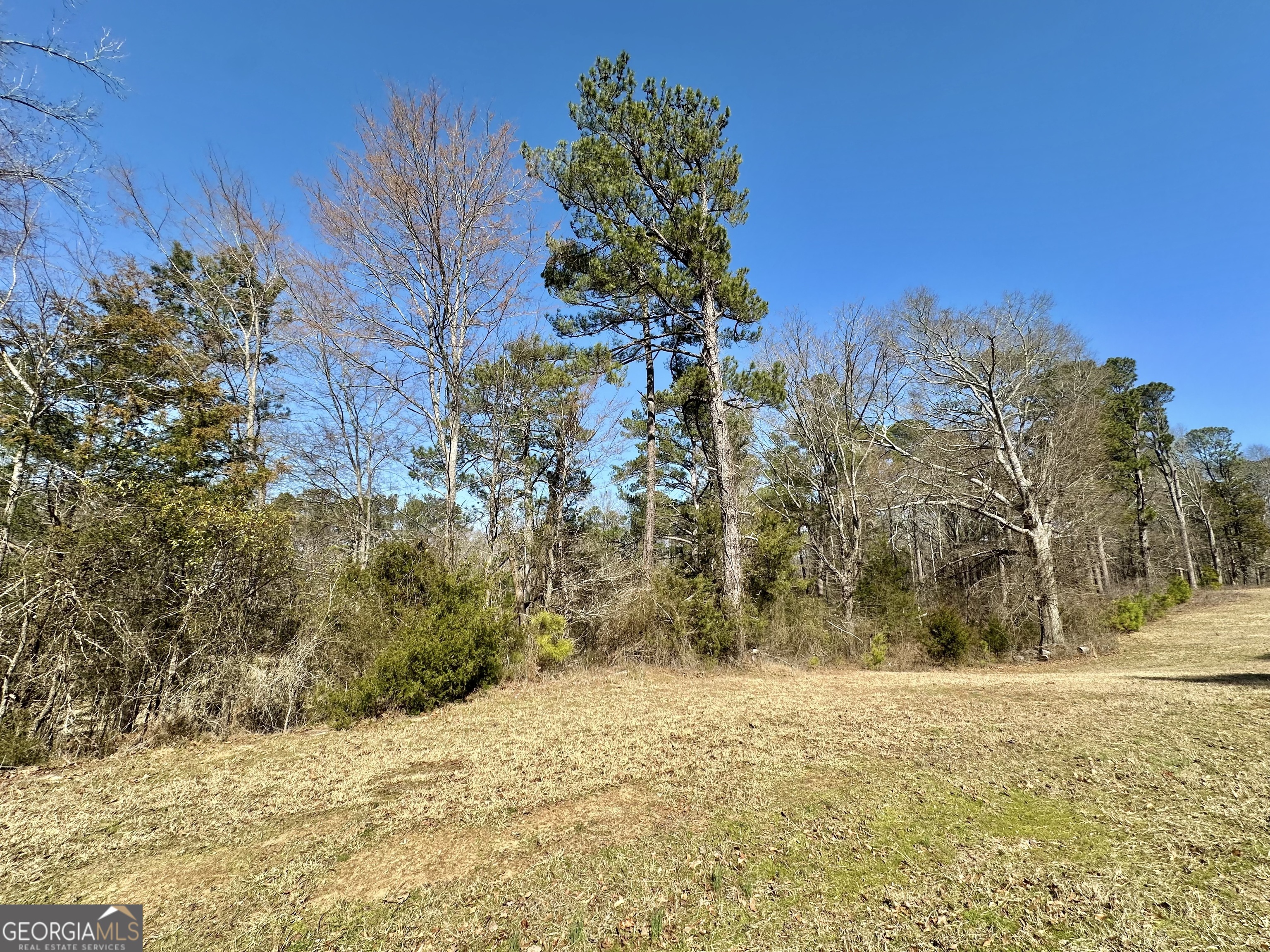 0 Hard Rock Road Oxford, GA 30054 - Photo 10 of 12 a view of a yard with a house