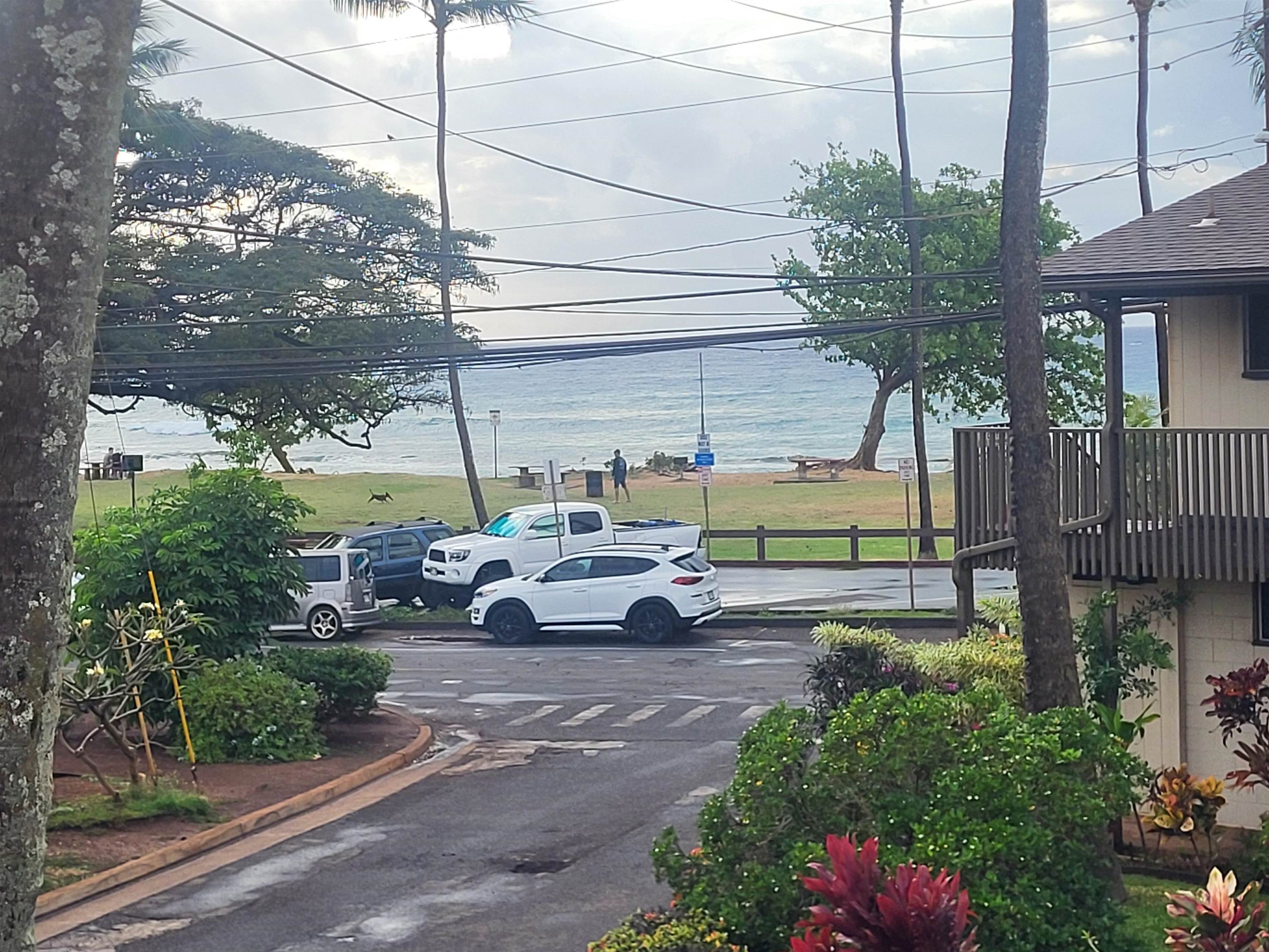 3666 Lower Honoapiilani Road, Unit B 6 Lahaina, HI 96761 - Photo 23 of 33