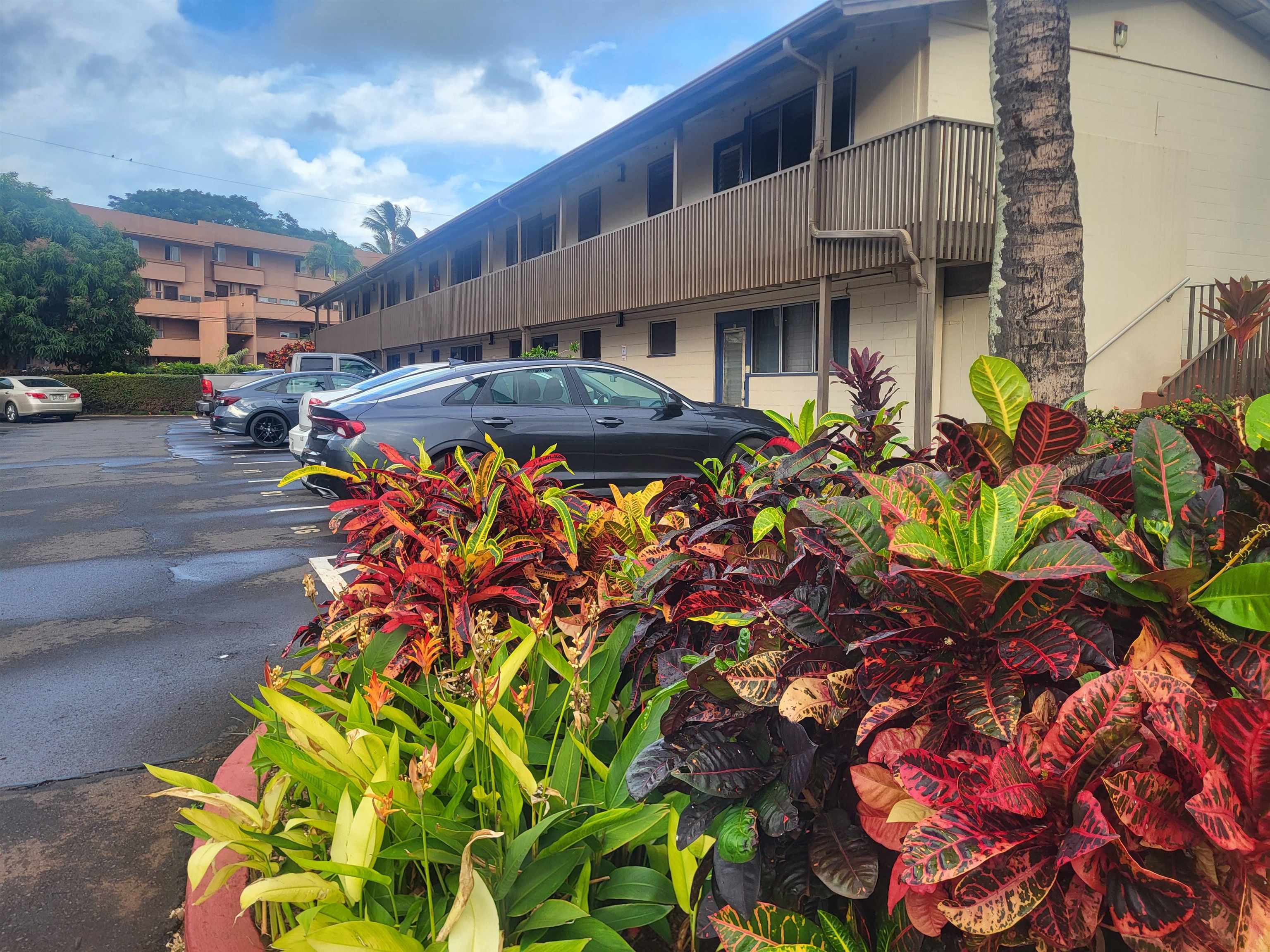 3666 Lower Honoapiilani Road, Unit B 6 Lahaina, HI 96761 - Photo 26 of 33