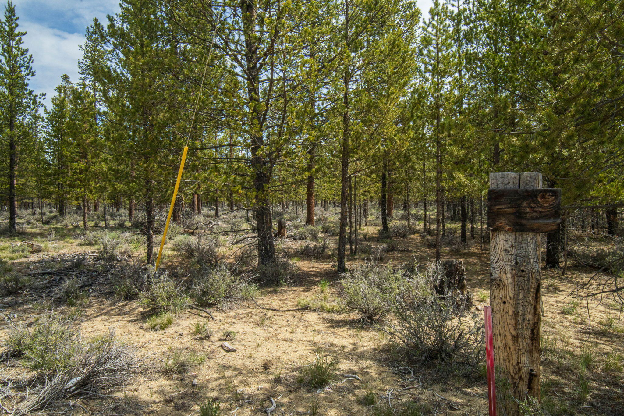 0 Greenwood Road, Unit 39 La Pine, OR 97739 - Photo 7 of 14 a view of forest