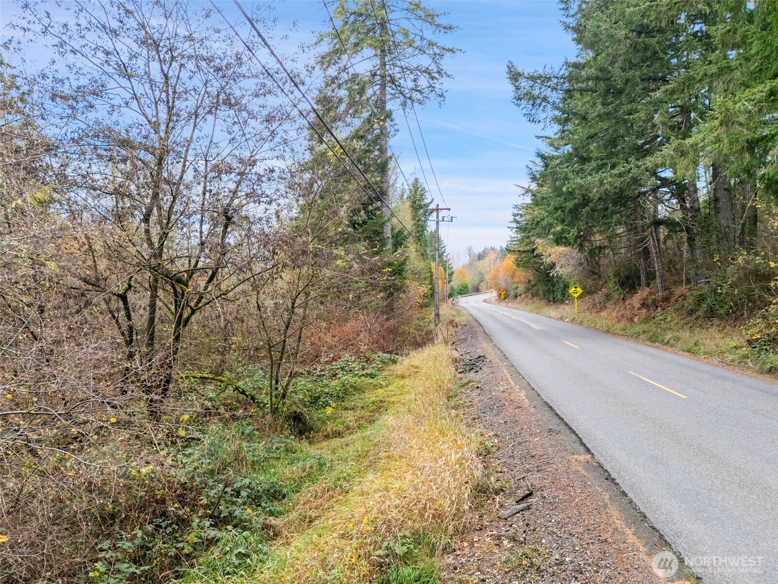 6191 East Pickering Road Shelton, WA 98584 - Photo 12 of 16 a view of a yard with plants and large trees